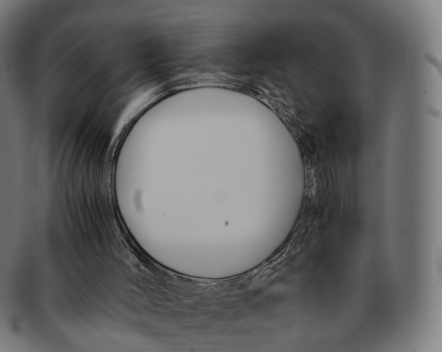 X0000091240004200709061550