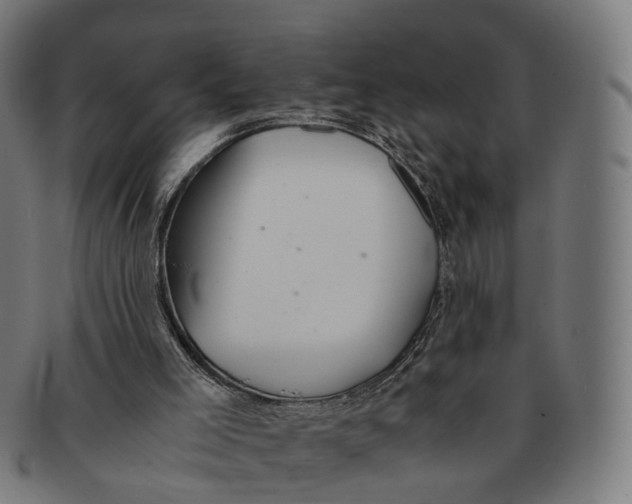 X0000091240005200709061550