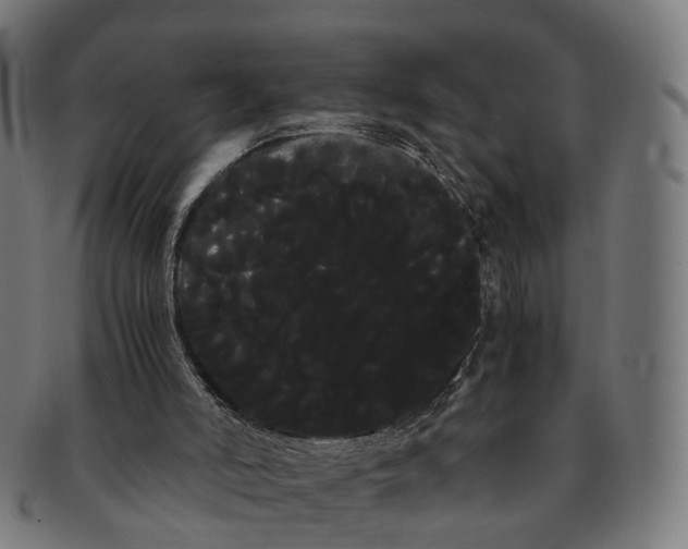 X0000091240006200709061550