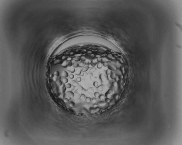 X0000091240007200709061550
