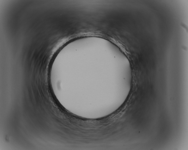 X0000091240008200709061550