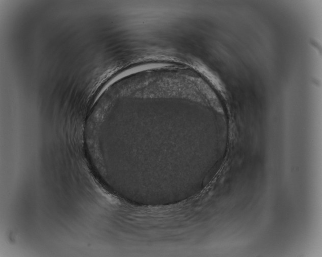 X0000091240009200709061550