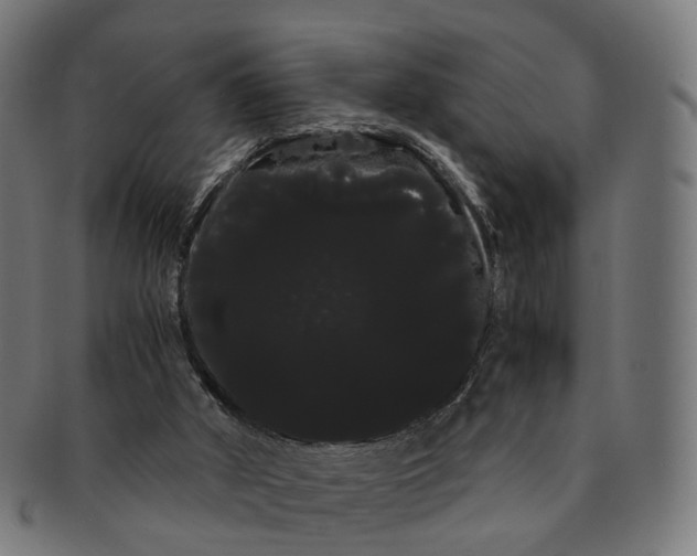 X0000091240010200709061550
