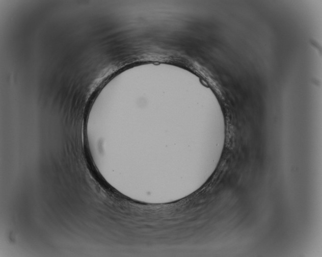 X0000091240011200709061550