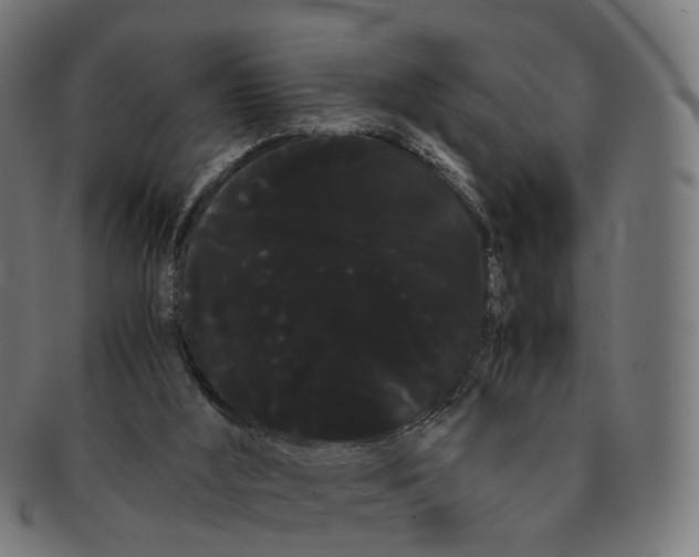X0000091240012200709061550