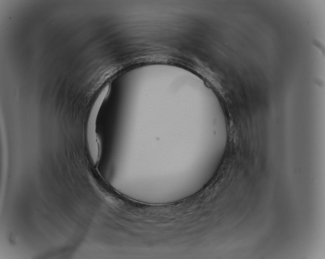 X0000091240013200709061550