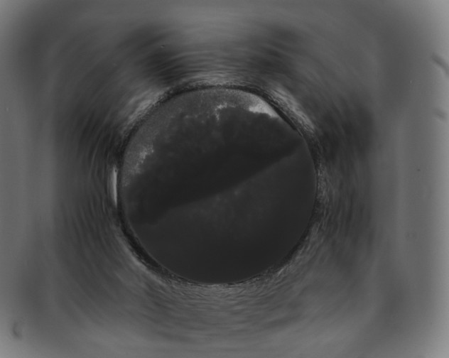 X0000091240014200709061550