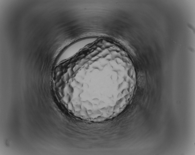 X0000091240015200709061550