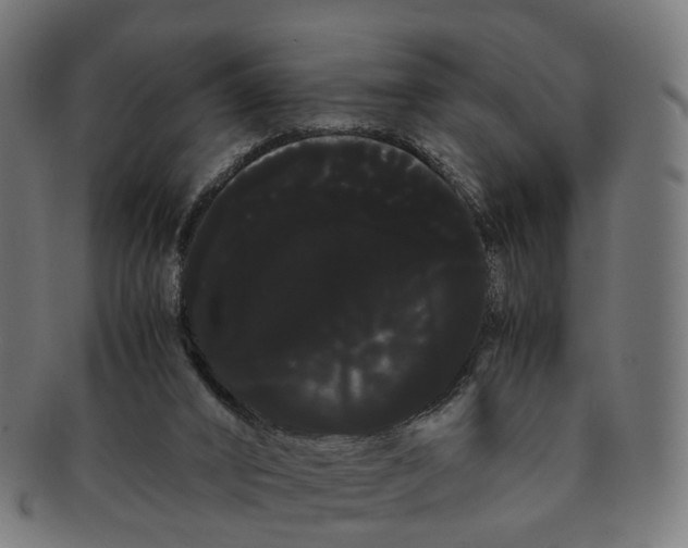 X0000091240016200709061550
