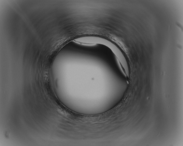 X0000091240017200709061550