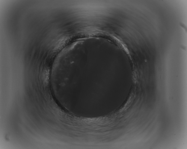 X0000091240018200709061549