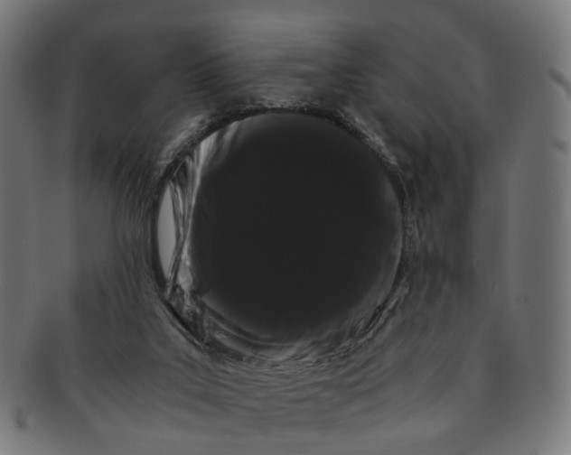 X0000091240019200709061549