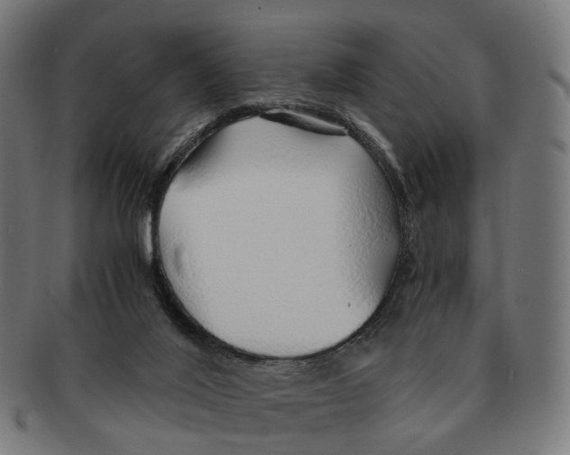 X0000091240020200709061549