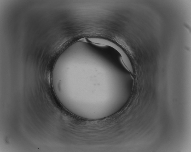X0000091240021200709061549