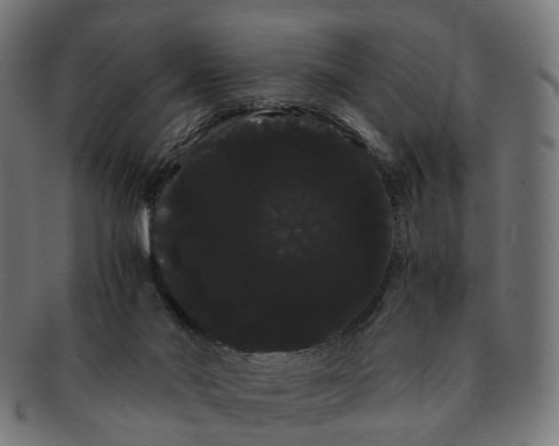 X0000091240022200709061549