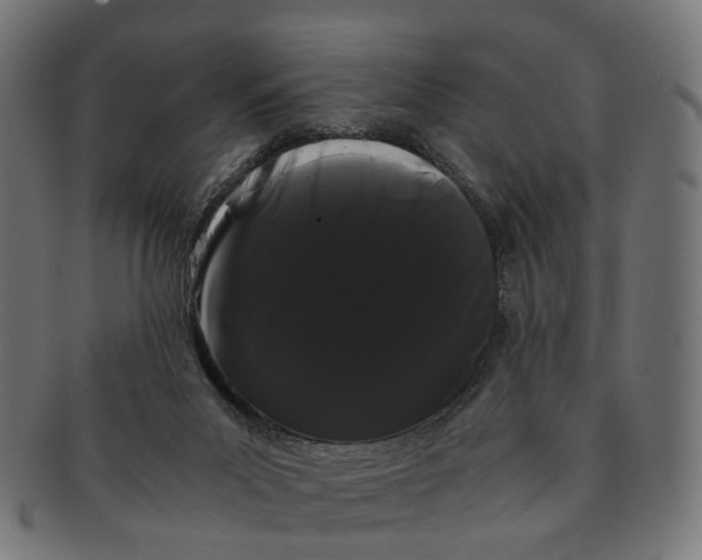 X0000091240023200709061549