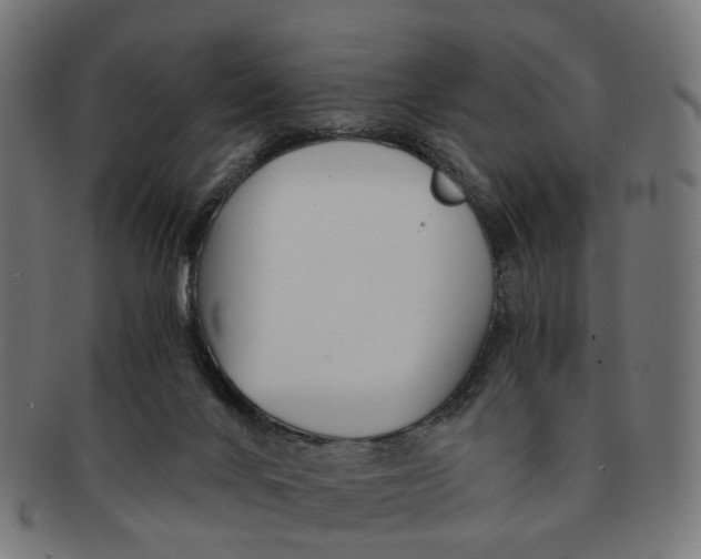 X0000091240024200709061549