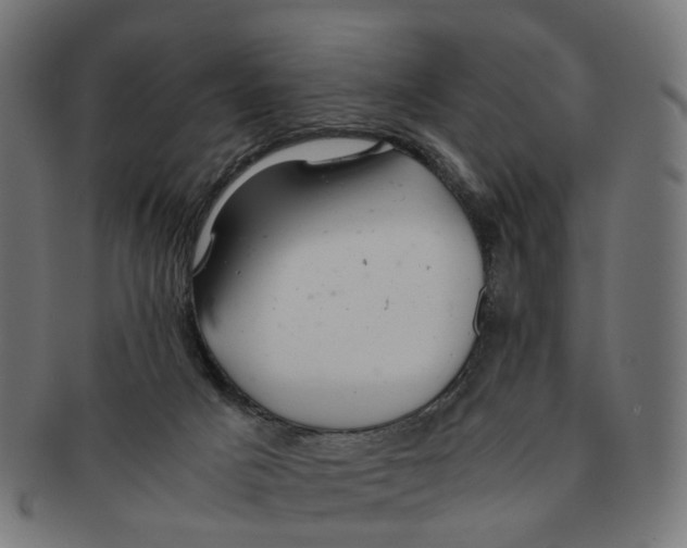 X0000091240025200709061549
