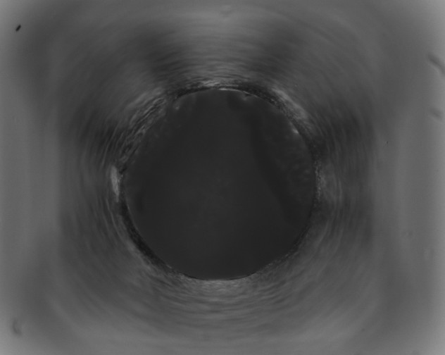 X0000091240026200709061549
