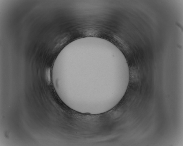 X0000091240028200709061549