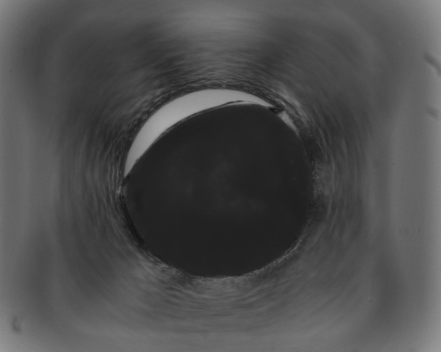 X0000091240029200709061549