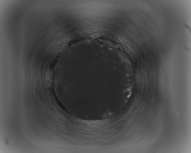 X0000091240030200709061549