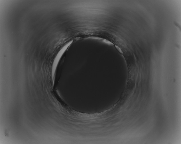 X0000091240031200709061549