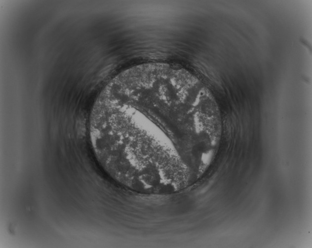 X0000091240032200709061549