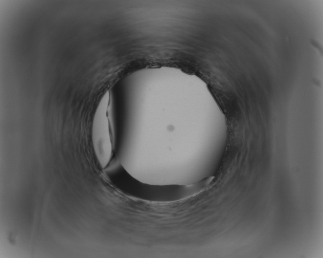 X0000091240033200709061549