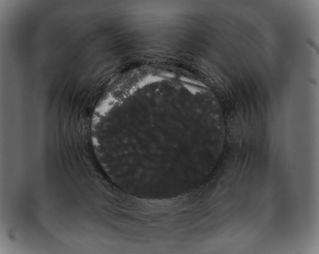 X0000091240034200709061549