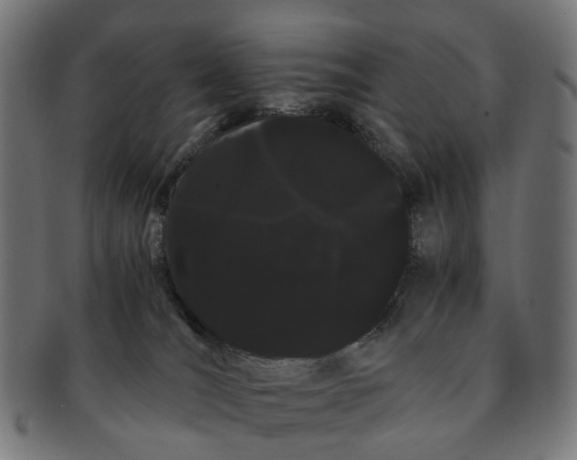 X0000091240036200709061549