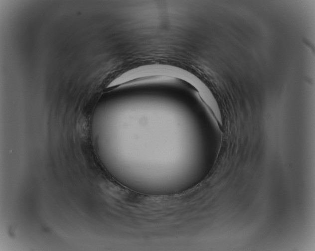 X0000091240037200709061549