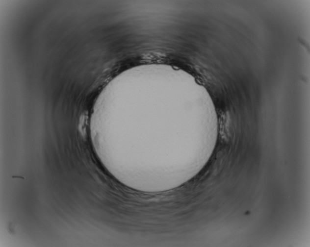X0000091240038200709061549