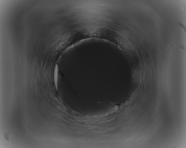 X0000091240039200709061549