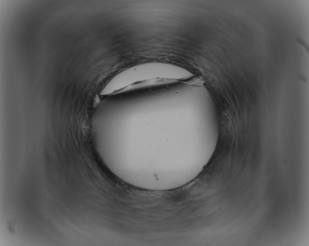 X0000091240040200709061549