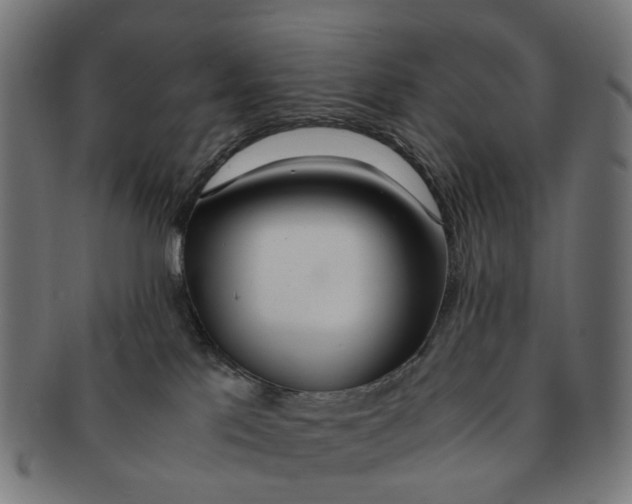 X0000091240041200709061549