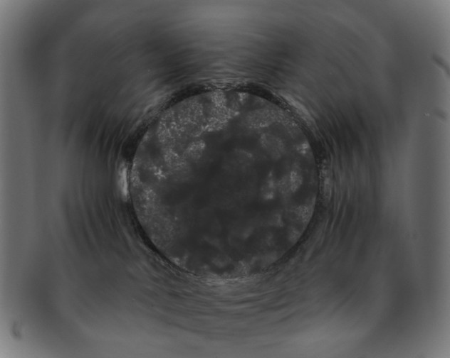 X0000091240042200709061549