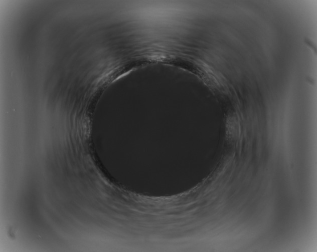 X0000091240043200709061549