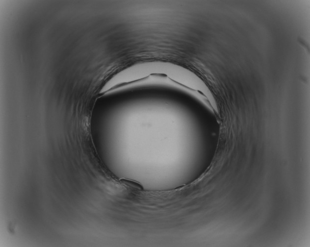 X0000091240045200709061549