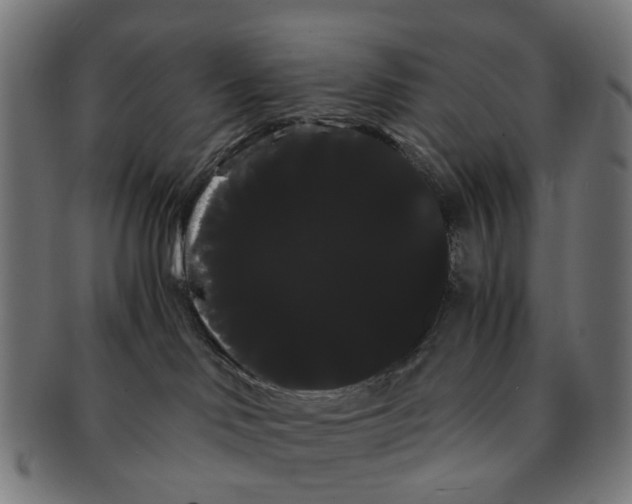 X0000091240046200709061549