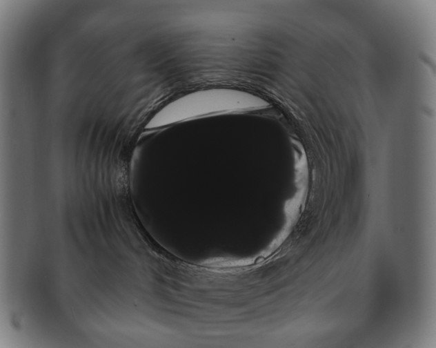X0000091240048200709061549