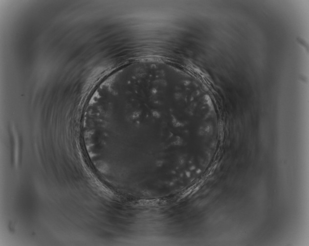 X0000091240049200709061548