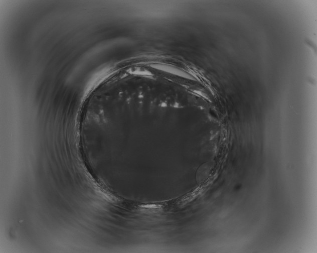 X0000091240053200709061548