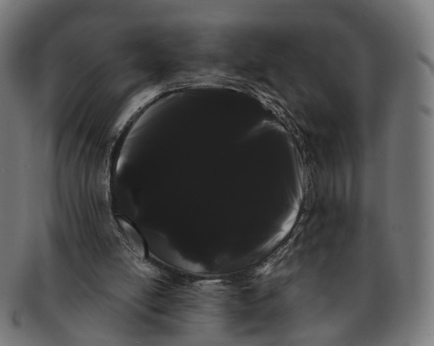 X0000091240054200709061548