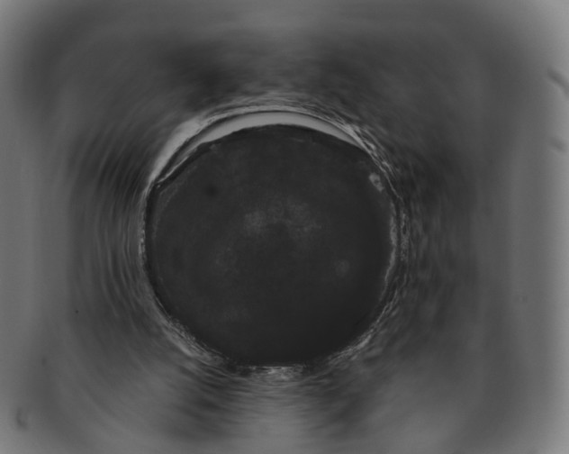 X0000091240056200709061548