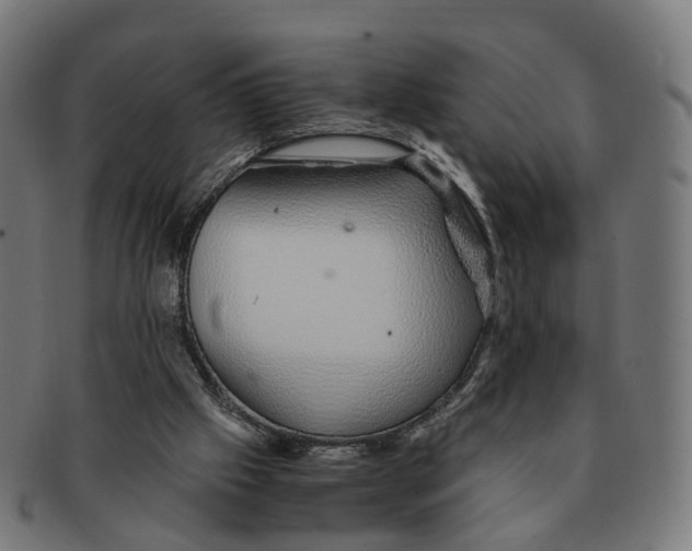 X0000091240057200709061548
