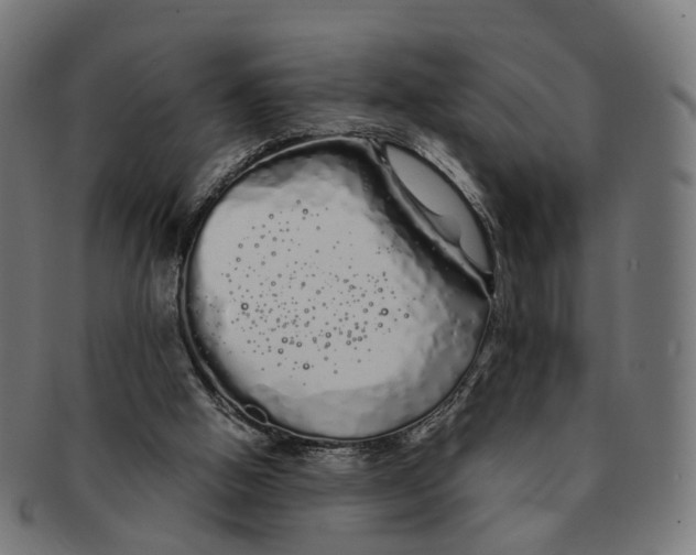 X0000091240058200709061549