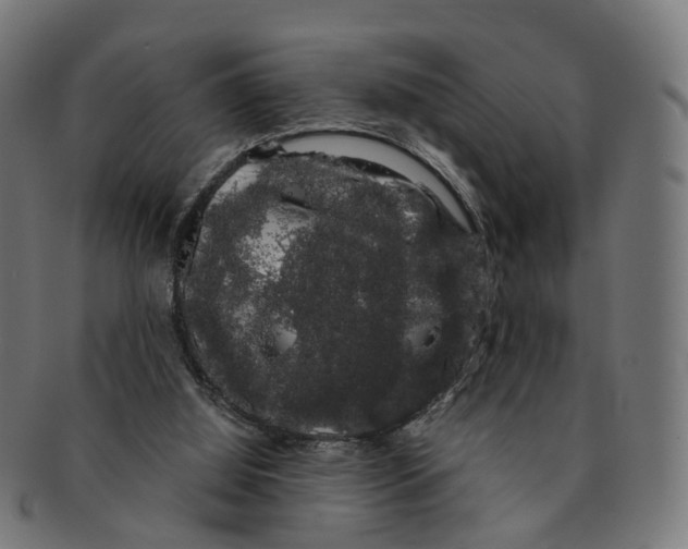 X0000091240060200709061549