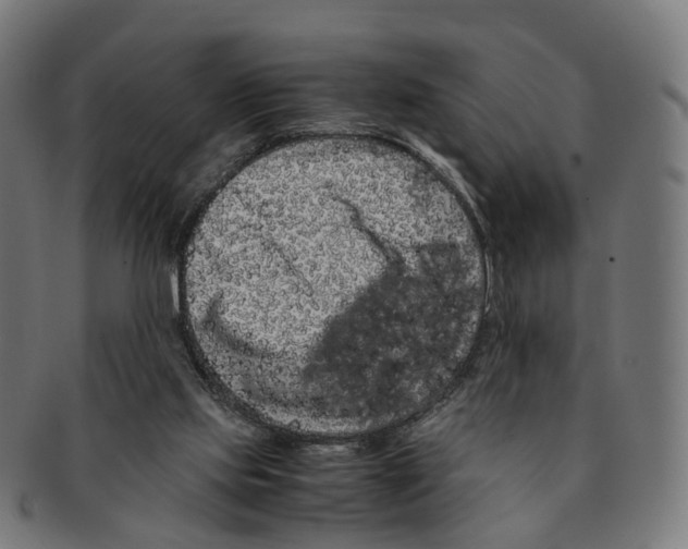 X0000091240061200709061549