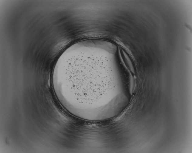 X0000091240062200709061549